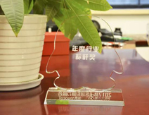 九鼎裝飾榮獲杭州裝修公司標(biāo)桿兩項大獎
